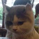 สมาชิกหมายเลข 2163675