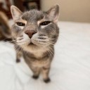 สมาชิกหมายเลข 1270320