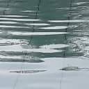 สมาชิกหมายเลข 3456467