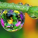 สมาชิกหมายเลข 1359026