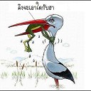 สมาชิกหมายเลข 1365071