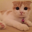 สมาชิกหมายเลข 1784193