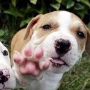 สมาชิกหมายเลข 1791030