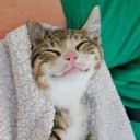 สมาชิกหมายเลข 2593569