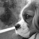 สมาชิกหมายเลข 2609725