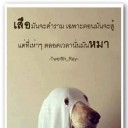 สมาชิกหมายเลข 844488