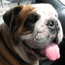 สมาชิกหมายเลข 962619