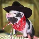 ลูกหมูผู้หิวโหย