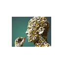 มลปากน้ำ