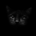 สมาชิกหมายเลข 2378058