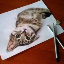 สมาชิกหมายเลข 2596680