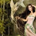 สมาชิกหมายเลข 1365950