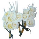 สมาชิกหมายเลข 1791801