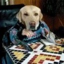 สมาชิกหมายเลข 1792157