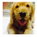 สมาชิกหมายเลข 1829366