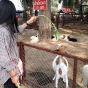 สมาชิกหมายเลข 2203338