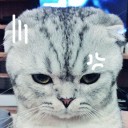 สมาชิกหมายเลข 833992