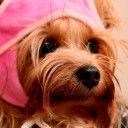 สมาชิกหมายเลข 963792