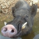 สมาชิกหมายเลข 1302731