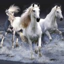 สมาชิกหมายเลข 1348099