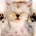 สมาชิกหมายเลข 1792503