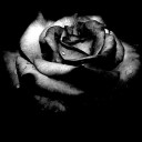 สมาชิกหมายเลข 2155947