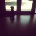 สมาชิกหมายเลข 2597441