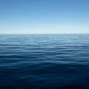 สมาชิกหมายเลข 2428550