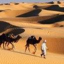 สมาชิกหมายเลข 964050