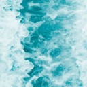 สมาชิกหมายเลข 1781351