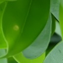 สมาชิกหมายเลข 2174215