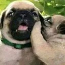 สมาชิกหมายเลข 2123463