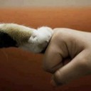 สมาชิกหมายเลข 2205080