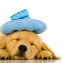 สมาชิกหมายเลข 2598249