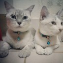 สมาชิกหมายเลข 811977