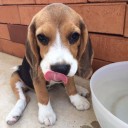 สมาชิกหมายเลข 1368261