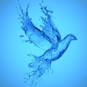 The Beginning of Freedom