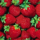 สมาชิกหมายเลข 2192582