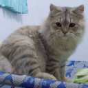 สมาชิกหมายเลข 965880