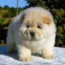 สมาชิกหมายเลข 2205470