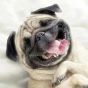 สมาชิกหมายเลข 2598954