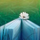 สมาชิกหมายเลข 2620502