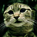 สมาชิกหมายเลข 2596777