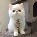 สมาชิกหมายเลข 2599389