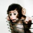 สมาชิกหมายเลข 872615