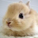 สมาชิกหมายเลข 873389