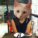 ยืนงงกลางดงแมว