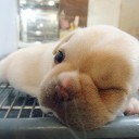 สมาชิกหมายเลข 1301640