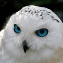 สมาชิกหมายเลข 2600218