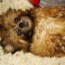 สมาชิกหมายเลข 3448670